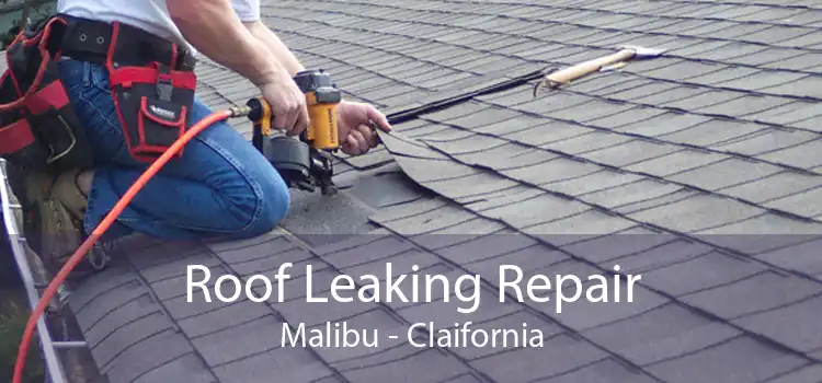 Roof Leaking Repair Malibu - Claifornia
